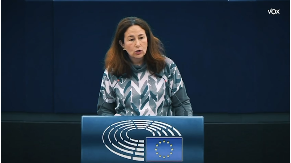 Intervención de Margarita de la Pisa en el Parlamento Europeo