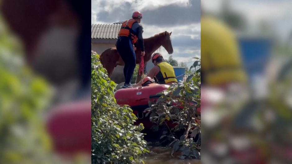 El impresionante rescate a un caballo en las inundaciones de Brasil