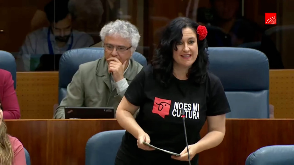 La diputada de Más madrid, María Luisa Escalante