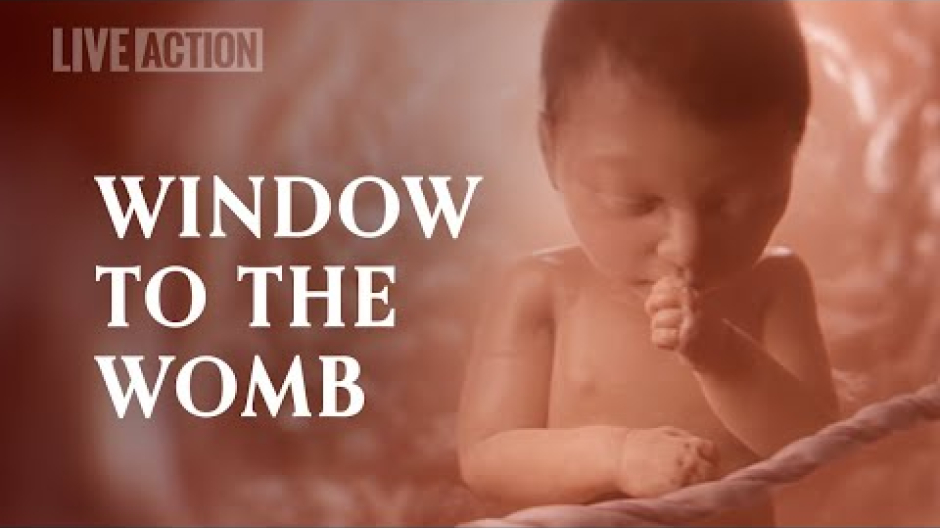 El vídeo de la bebé olivia, de obligado visionado en los colegios públicos de Tenesse