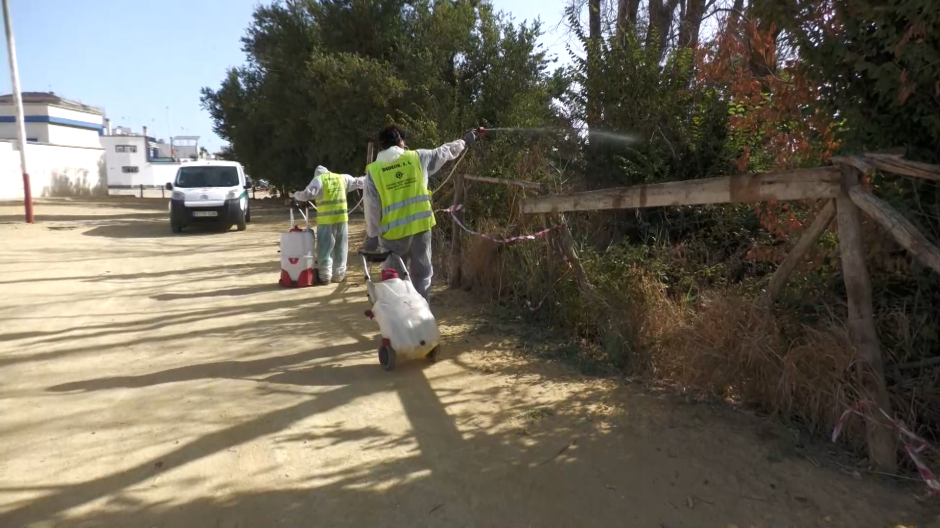 Fumigando contra el mosquito en la rivera de los ríos