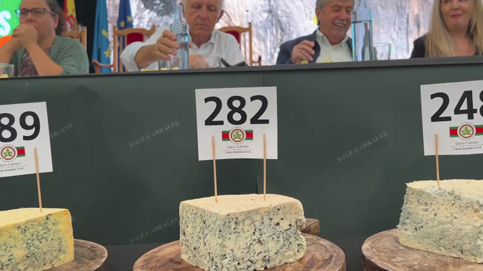 El mejor queso de cabrales de España bate récord en subasta: 36 mil euros