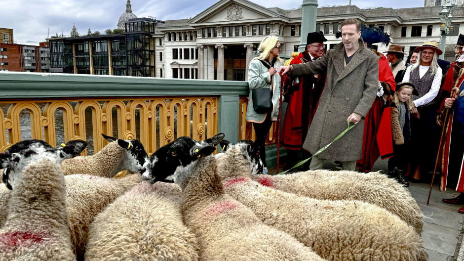 El actor británico Damian Lewis pastoreando ovejas en el centro de Londres