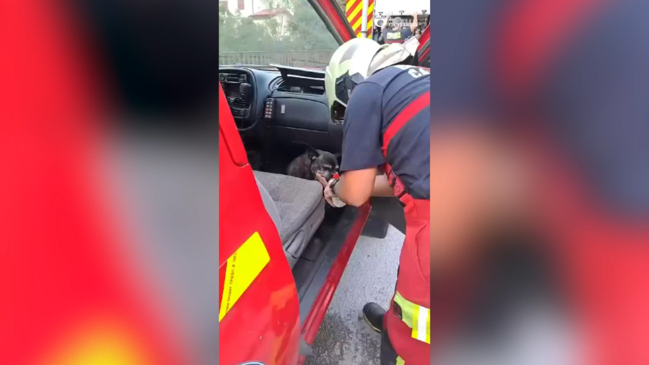 Un bombero suministra agua y comida tras rescatar a un perro