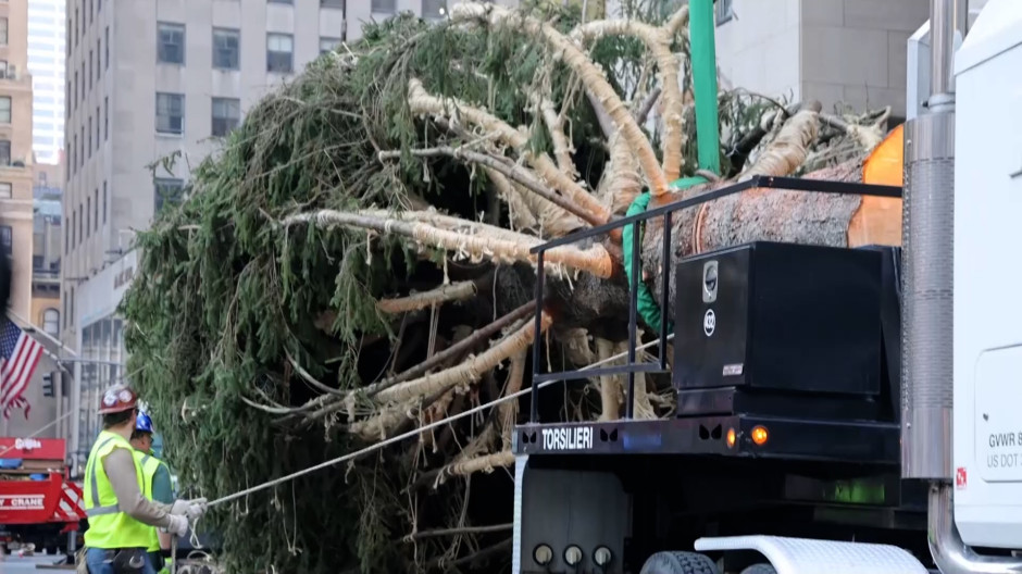 Descarga del árbol de Navidad de Nueva York