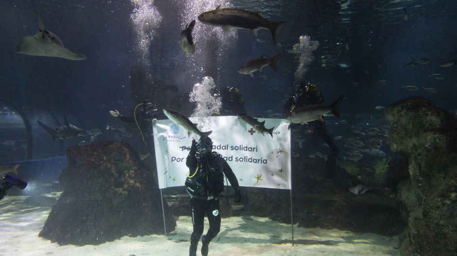 El chef Jordi Cruz nadando con tiburones