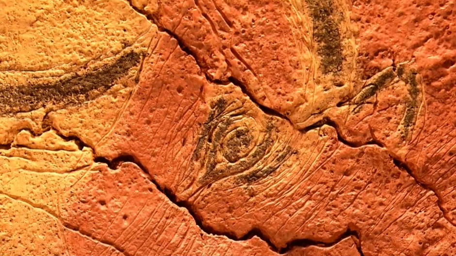 Nuevos grabados hallados en Altamira