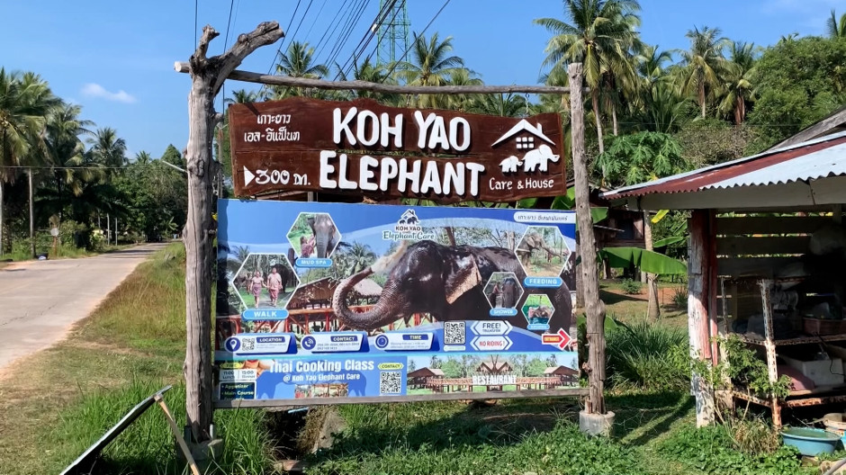 Centro de elefantes en Tailandia donde ha ocurrido el suceso