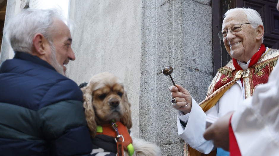 Vueltas de San Antón: procesión con animales en el centro de Madrid, en directo