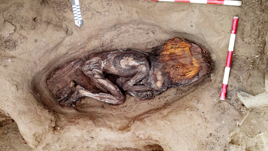 La tumba de una mujer de casi 5.000 años en la civilización más antigua de América