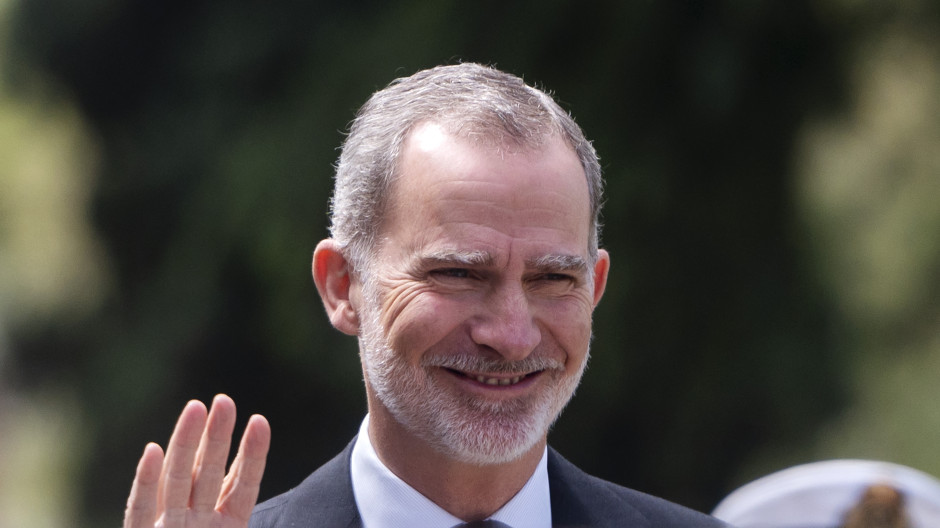 El Rey Felipe VI