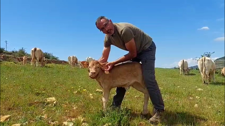 Los ganaderos se plantan por una nueva imposición burocrática: «Va más allá de lo que pide Bruselas»Los ganaderos se plantan por una nueva imposición burocrática: «Va más allá de lo que pide Bruselas»