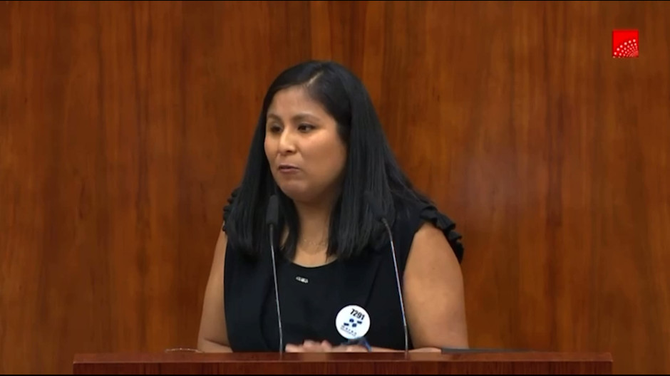 La diputada de Más Madrid, Diana Carol Paredes Choquehuanca