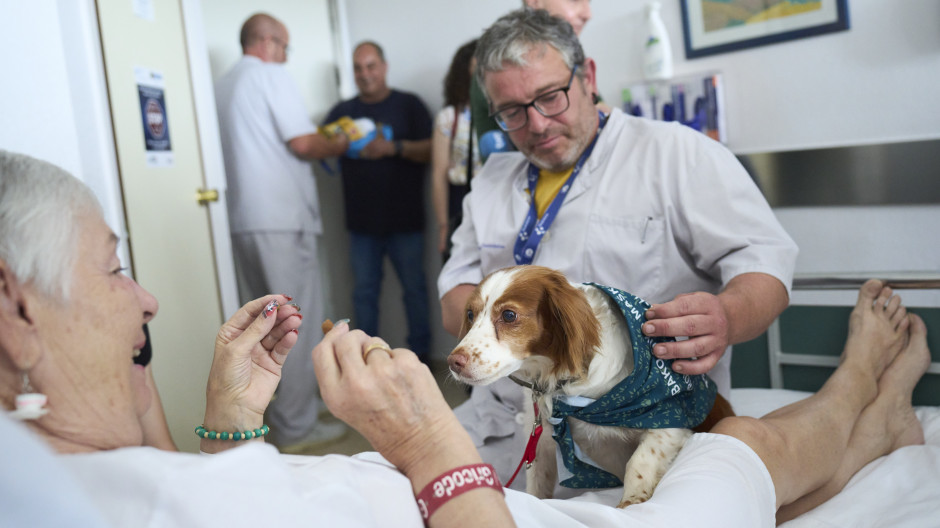 El País Vasco arranca proyecto piloto que permite a los pacientes recibir la visita de sus mascotas