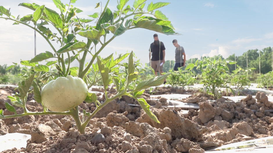 Madrid fusiona agricultura e ingeniería para impulsar el campo