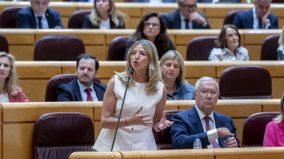 La portavoz del PP en el Senado, Alicia García