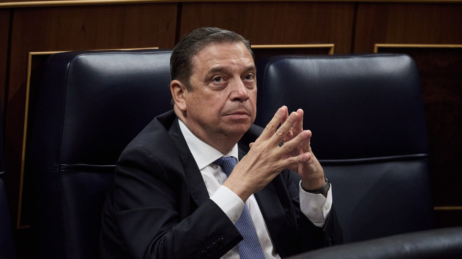 El ministro de Agricultura, Pesca y Alimentación, Luis Planas