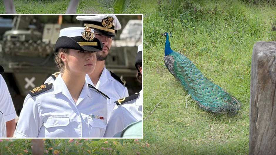 La Princesa Leonor disfrutó de la gastronomía árabe con vistas al Peñón y rodeada de pavos reales