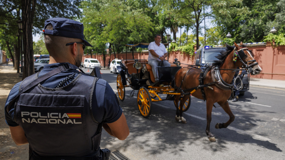 Agente de Policía en Sevilla