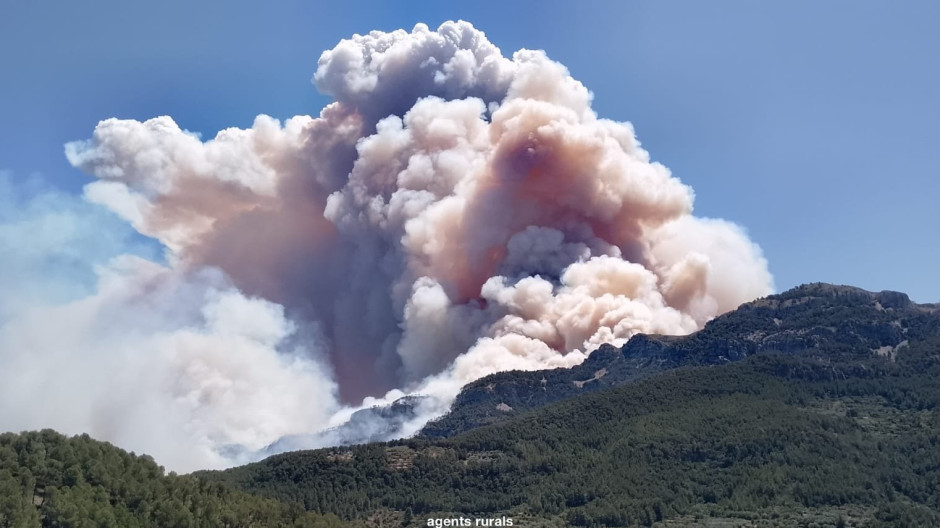 Humareda provocada por el incendio en Paüls, este lunes