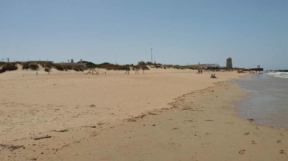 Imagen de la playa de El palmar, en Vejer de la Frontera (Cádiz)