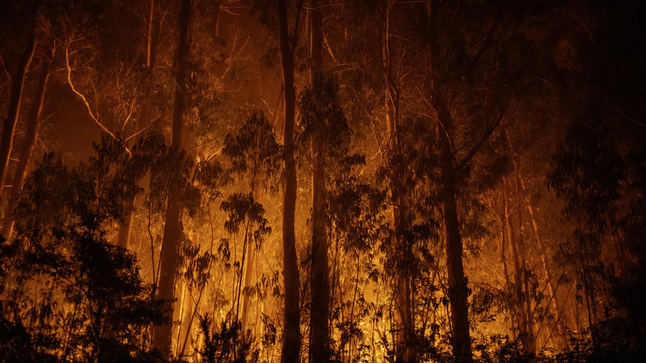 El incendio de As Neves visto desde el aire: ya afecta a 50 hectáreas y obliga a activar el nivel 2 de emergencia
