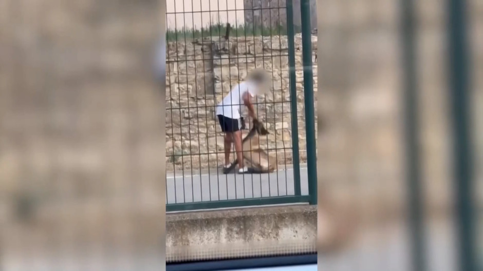 Investigado un joven tras ser grabado mientras maltrataba a su perro en Calaf (Barcelona)