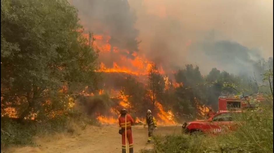 El incendio de Jarilla está prácticamente controlado