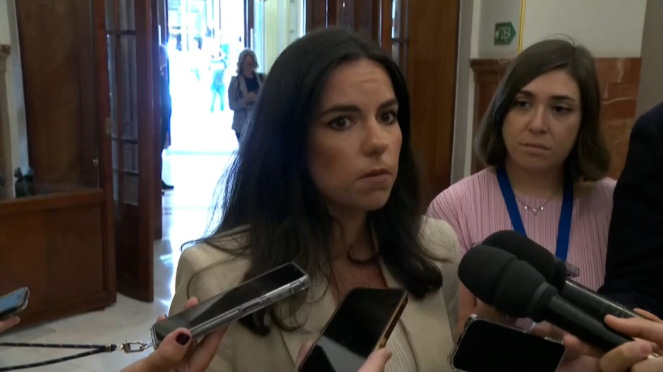 La portavoz de Vox en el Congreso, Pepa Millán