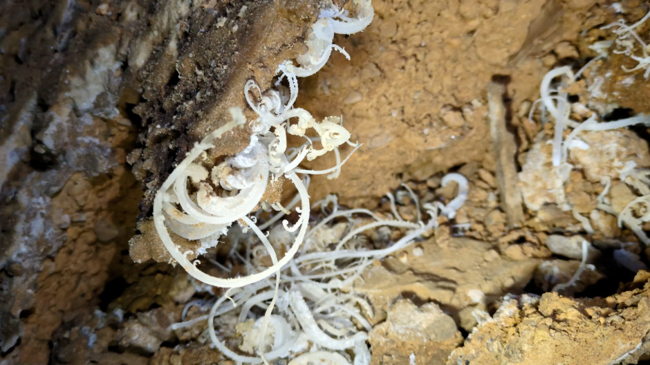 Flores de yeso de la 'supercueva'