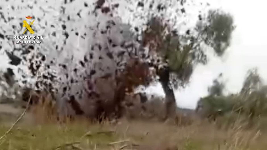 Detonación de los proyectiles de la Segunda Guerra Mundial en Peñarroya (Córdoba)