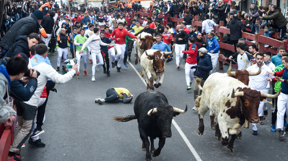 El segundo encierro de San Sebastián de los Reyes (Madrid) finaliza con nueve heridos leves