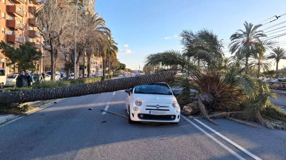 Un coche atrapado por un árbol caído, este jueves