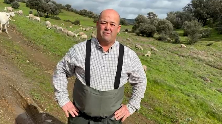 Los ganaderos andaluces hablan tras el desastre por las borrascas: «Tendremos unas perdidas del 40%»