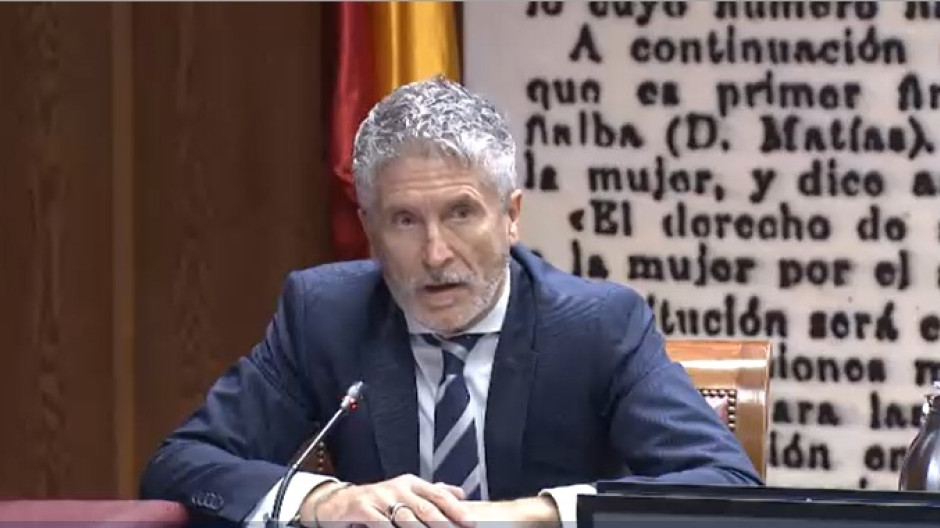 Fernando Grande-Marlaska en el Senado