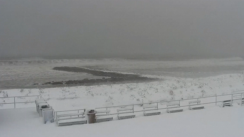 DIRECTO | Increíble temporal de nieve en EE.UU con un Nueva York teñida de blanco