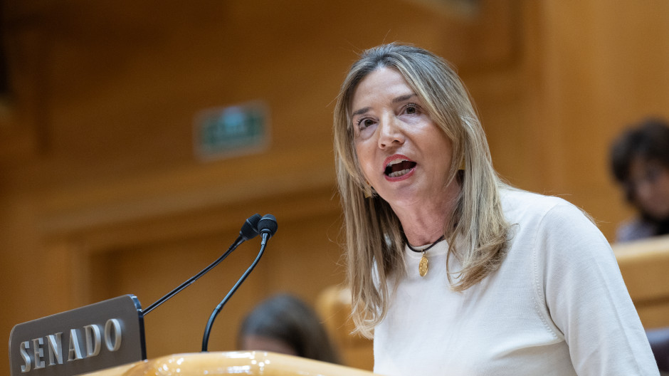 La portavoz del Partido Popular en el Senado, Alicia García