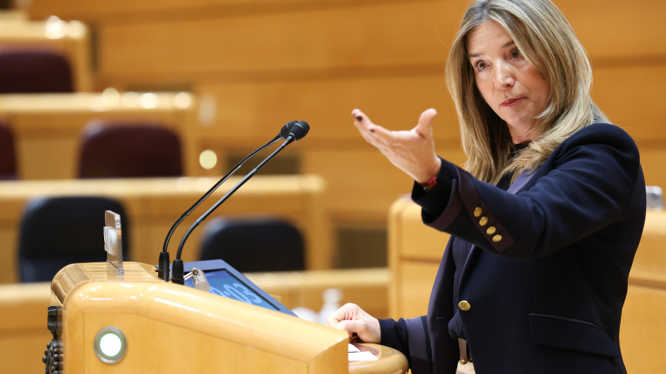 La portavoz del Partido Popular en el Senado, Alicia García