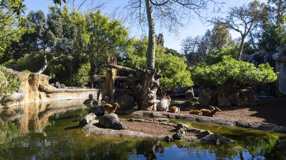 bioparc