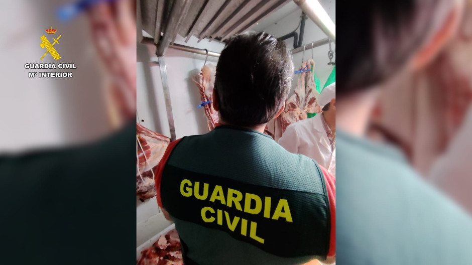 EuropaPress_7607766_explotacion_ovina_supuestamente_sacrificaban_animales_ningun_tipo_control