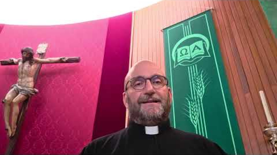 Homilía domingo 2 de agosto 2026
