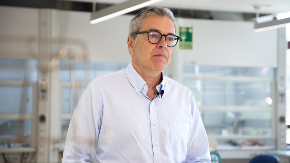 El mito de los lobos y la luna llena: Javier Pérez Castells aclara a que aúllan realmente los lobos