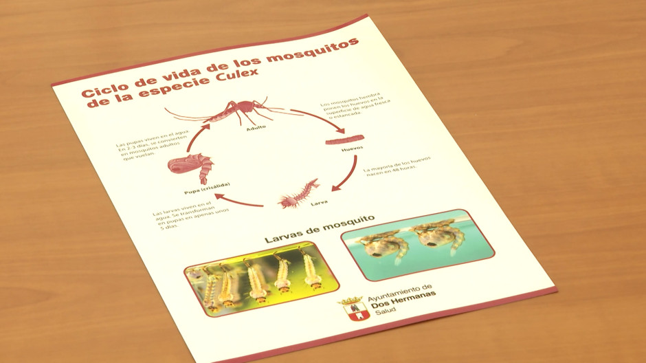 Un nuevo caso de virus del Nilo en Dos Hermanas eleva a 47 los contagios en Andalucía