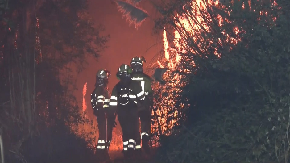 Declarado un incendio forestal en una zona arbolada de Derio, cerca del aeropuerto de Bilbao