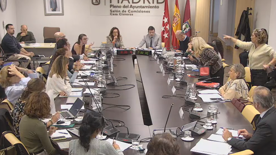 Comisión Permanente Ordinaria del Pleno de Políticas Sociales, Familia e Igualdad