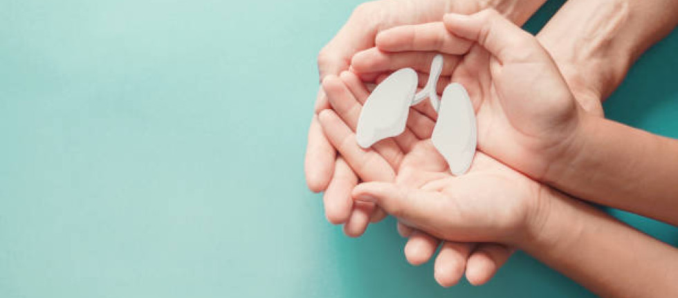 Adult and child hands holding lung, world tuberculosis day, world no tobacco day, corona covid-19 virus, eco air pollution; organ donation concep