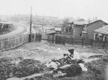 historia/20260816/stalin-planeo-erradicacion-campesinos-ricos-desato-genocidio-hambre-ucrania_449471