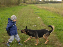 espana/la-voz-de-cordoba/sociedad/20261018/cordoba-tiene-triple-perros-ninos-36-veces-mascotas_470905
