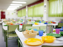 espana/galicia/20261019/mejor-menu-escolar-espana-sirve-colegio-vigo-habas-algas-merluza-burela_471059