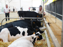 espana/la-voz-de-cordoba/economia/20260513/diputacion-cordoba-ofrece-ayuda-empresas-agroalimentarias_417216